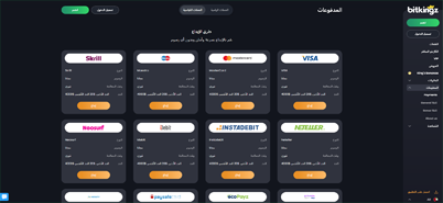 bitkingz casino صفحة الدفعات العربية