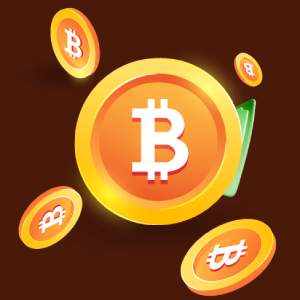Crypto Casinos