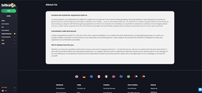 Bitkingz Casino About Us