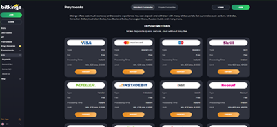 Bitkingz Casino Payment Page